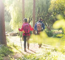  寻找抵押车，全面指南