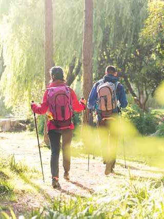 深入解析抵押车辆查找，技术、法律与市场动态