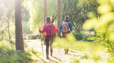 全面解析日产抵押车定位，市场动态与技术革新