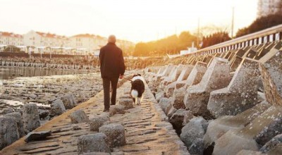 全面解析，如何高效寻找抵押车渠道