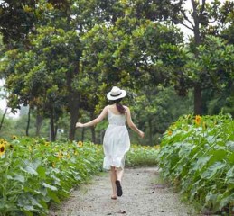 承德抵押车市场深度解析，寻找与交易指南