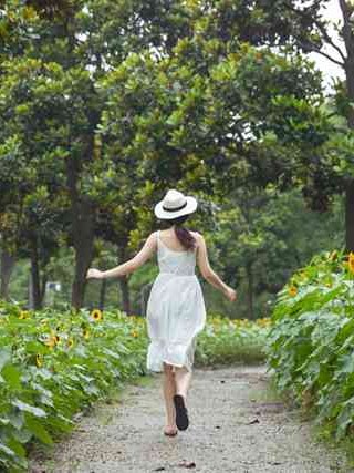 承德抵押车市场深度解析，寻找与交易指南