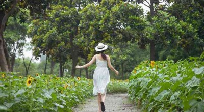 承德抵押车市场深度解析，寻找与交易指南