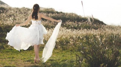  标题，如何合法且有效地查找抵押车辆的车主信息