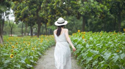  抵押车定位器查找指南，技巧与方法