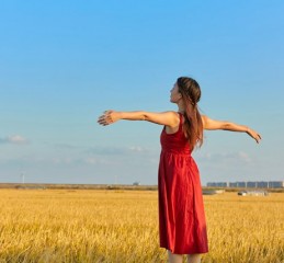  陕西抵押车辆市场深度解析，寻找与评估的全方位指南