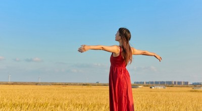  陕西抵押车辆市场深度解析，寻找与评估的全方位指南