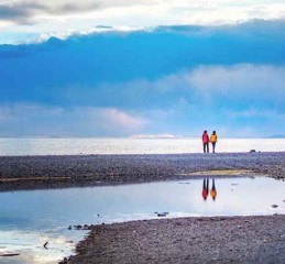 天津抵押车定位，技术、法律与市场分析