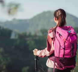  莱阳抵押车定位，技术、法律与市场分析