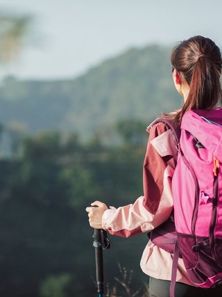  莱阳抵押车定位，技术、法律与市场分析