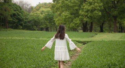全面解析，如何为抵押车辆安装定位系统