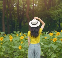  抵押车市场的数字化转型，深入了解抵押车软件