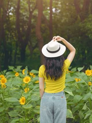 滨州抵押车市场深度解析，寻找优质抵押车的正确路径