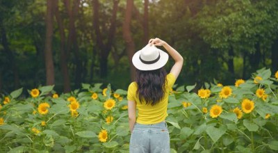  抵押车市场的数字化转型，深入了解抵押车软件