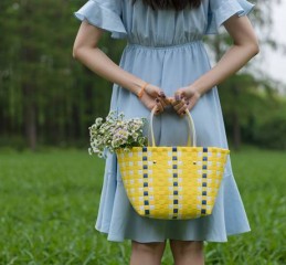 深入解析霸道抵押车定位技术，安全与效率的双重保障