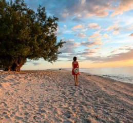 深度解析，如何在网上寻找抵押车辆并确保交易安全