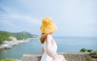  标题，专业抵押车市场深度剖析，投资与风险管理