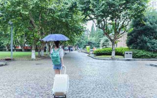辽宁反窃听检测厂家全面解析，技术、服务与行业前景