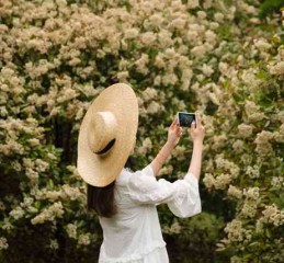 深入解析，寻找抵押车团队的全方位指南