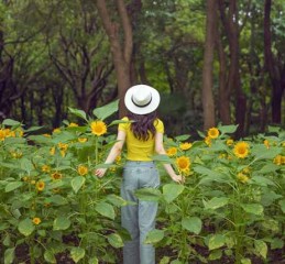 全方位解析，如何有效查找抵押车辆位置