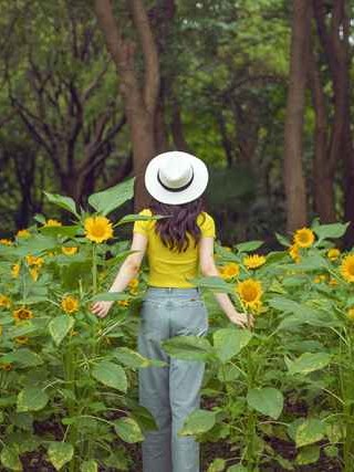 全方位解析，如何有效查找抵押车辆位置