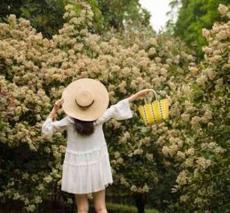 郑州抵押车市场深度解析，如何安全寻找与购买抵押车