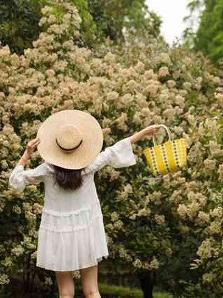 郑州抵押车市场深度解析，如何安全寻找与购买抵押车