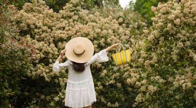 揭阳抵押车定位服务，安全、高效与透明