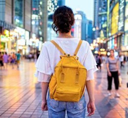 邹城抵押车市场深度解析，寻找与评估指南