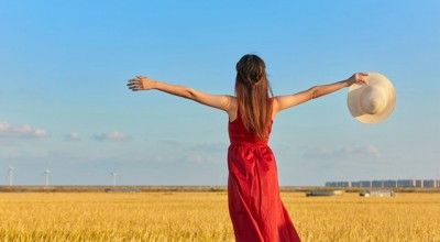 深入探究抵押车赏金，风险、机遇与法律边界