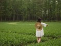 全方位保障安全，酒店室外摄像头的全面解析