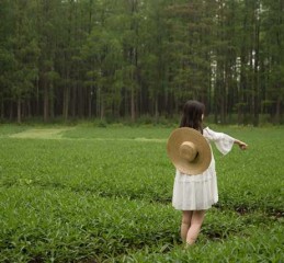 如何高效寻找抵押车中的GPS设备