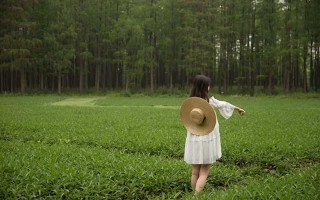 全面解析，为何车内安装GPS定位系统至关重要？